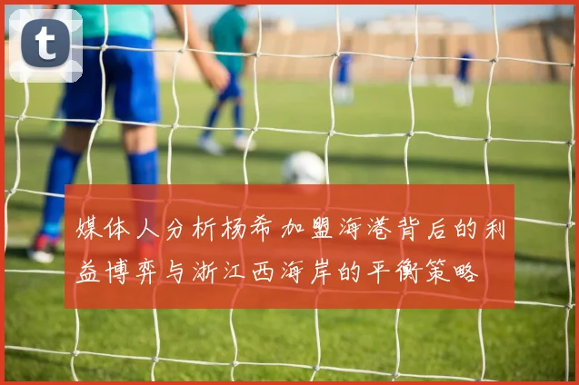 媒体人分析杨希加盟海港背后的利益博弈与浙江西海岸的平衡策略