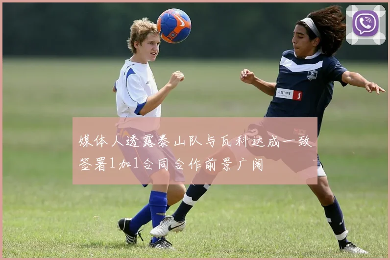 媒体人透露泰山队与瓦科达成一致签署1加1合同合作前景广阔