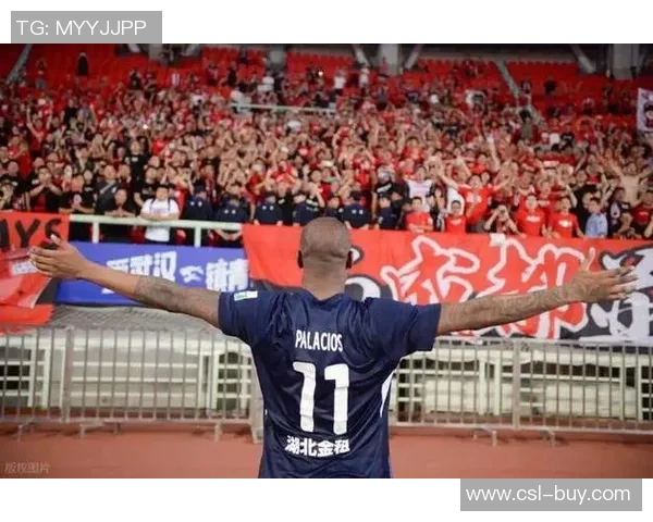 前武汉三镇外援达兰主动向西乙萨拉戈萨推荐自己现为自由球员状态良好 前武汉三镇外援达兰主动向西乙萨拉戈萨推荐自己现为自由球员状态良好