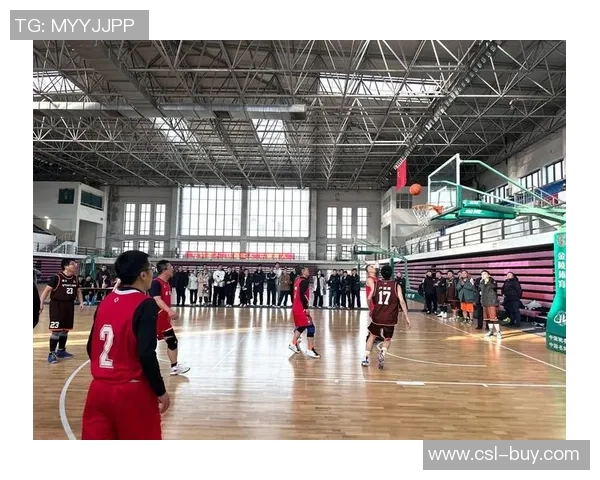 篮球教会我们的合作精神与高效问题解决能力的深刻启示